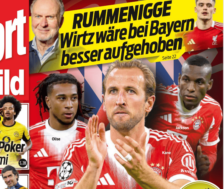 虎扑, 就是球队内