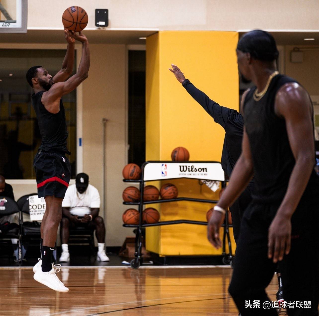 首次公开训, 新秀小海梅, 金斯的消息